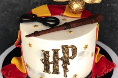 A62D2EDA-B389-4D0C-973A-CA7B7E80EAB9_InPixio