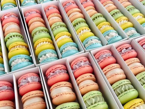 Elegance Menu Image Alt